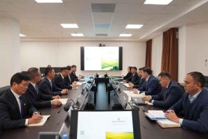 kazpulse-1768397845-B5WmxVwh