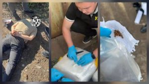 kazpulse-1768399229-wQADKqsh