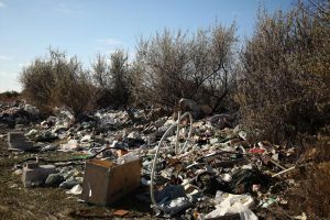 kazpulse-1768399234-zbzOnk9z