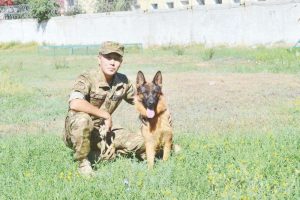 kazpulse-1768399421-B2xKWv0d