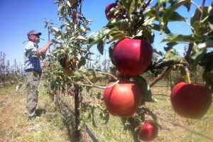 kazpulse-1768400815-bJE7Zseq