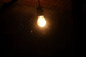 kazpulse-1768401661-tPOlYtNn