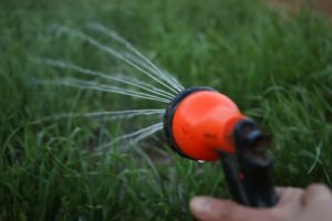 kazpulse-1768401717-dAvHQQvx