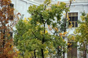 kazpulse-1768401980-dfFNI0Zb