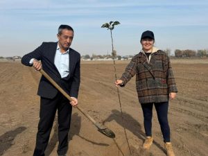 kazpulse-1768390138-TvPjWv3S