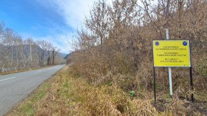 kazpulse-1768390282-38IFBbTe