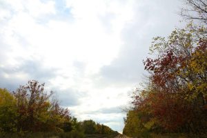 kazpulse-1768391735-vFoA823B