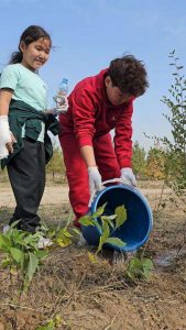 kazpulse-1768391835-jmq20ETj