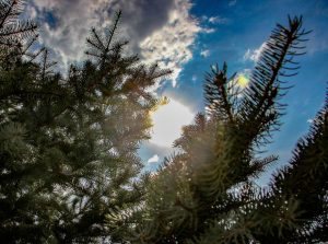 kazpulse-1768392102-9DCf5oEL