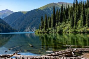 kazpulse-1768392927-z566j8sS