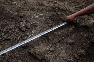 kazpulse-1768392954-2BFcLRKM