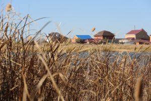 kazpulse-1768392959-VuECg7DG