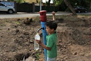 kazpulse-1768393521-RiOCvpX3