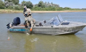 kazpulse-1768393786-cUw4tg7F