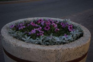 kazpulse-1768394113-5zHYDdrJ