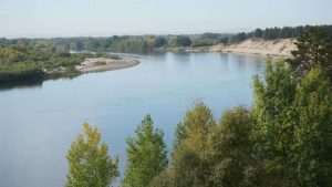 kazpulse-1768395030-2WqFuxZH