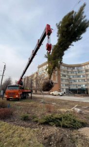 kazpulse-1768388208-KGevWCMS