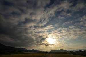 kazpulse-1768388236-LPNTb0ao