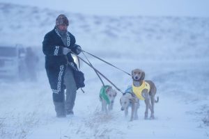 kazpulse-1768388642-Lq79HjcV