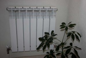 kazpulse-1768388643-s10R0Ntc