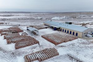 kazpulse-1768388764-wSJNGIsb