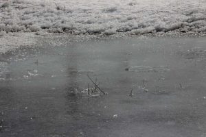 kazpulse-1768389422-NOiOOr2L