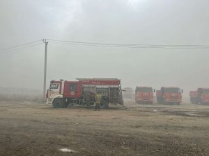 kazpulse-1768389550-OeNPZS85