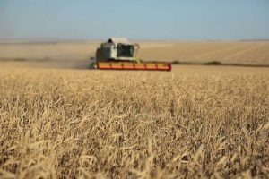 kazpulse-1768389638-PaC8N9Tq