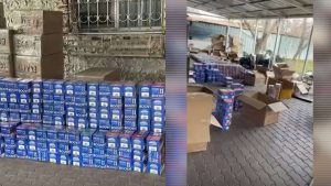 kazpulse-1768389665-c0U0mW8V