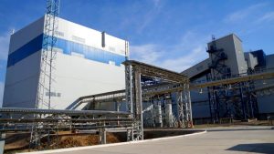 kazpulse-1768389794-zeJ7xBVs