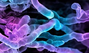 kazpulse-1768389856-qcaa3EcY