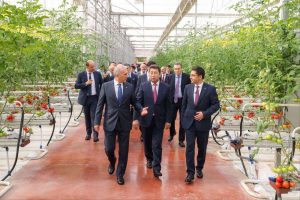 kazpulse-1768389918-qIgTCQgN