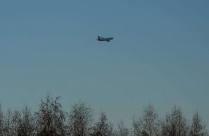 kazpulse-1768390087-mWUzVIcU