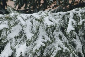 kazpulse-1768387188-zG3jipm2