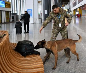 kazpulse-1768387442-FXGEKA6S