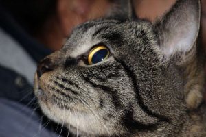 kazpulse-1768387446-CCDV6ceI