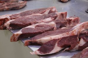 kazpulse-1768387645-XLF6VLXy