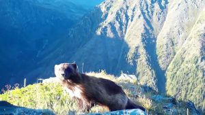 kazpulse-1768387713-6JxtYPjV