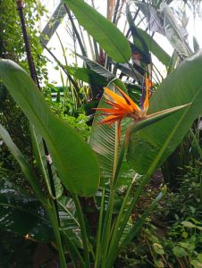 kazpulse-1768387740-OXhwWgsO