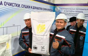 kazpulse-1768387793-KoDitaeE