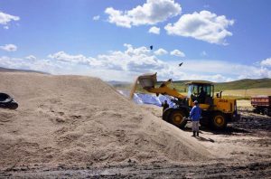 kazpulse-1768387796-CtFGhboX