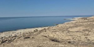 kazpulse-1768387831-ehH1ti3y