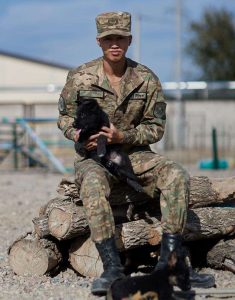 kazpulse-1768387853-iIvOQVuE