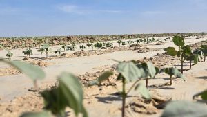 kazpulse-1768387934-NxpXeDef