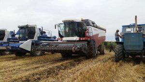 kazpulse-1768387991-4AAsvnZk