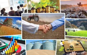 kazpulse-1768388001-34JhSYvo