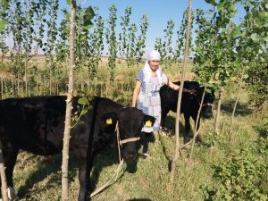 kazpulse-1768388082-wvTjQSR1