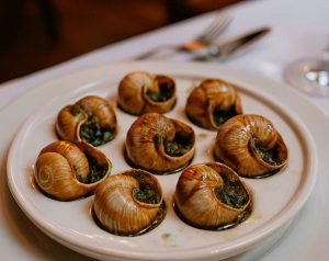 kazpulse-1768388122-yRS6gnxA