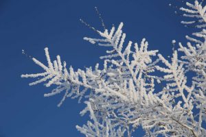 kazpulse-1768388924-xOhmZPRG