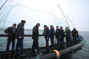 kazpulse-1768389385-19kAMXtS